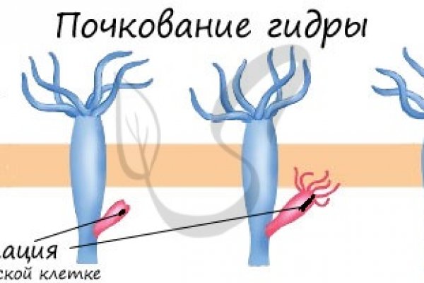 Ссылка на сайт кракен в тор